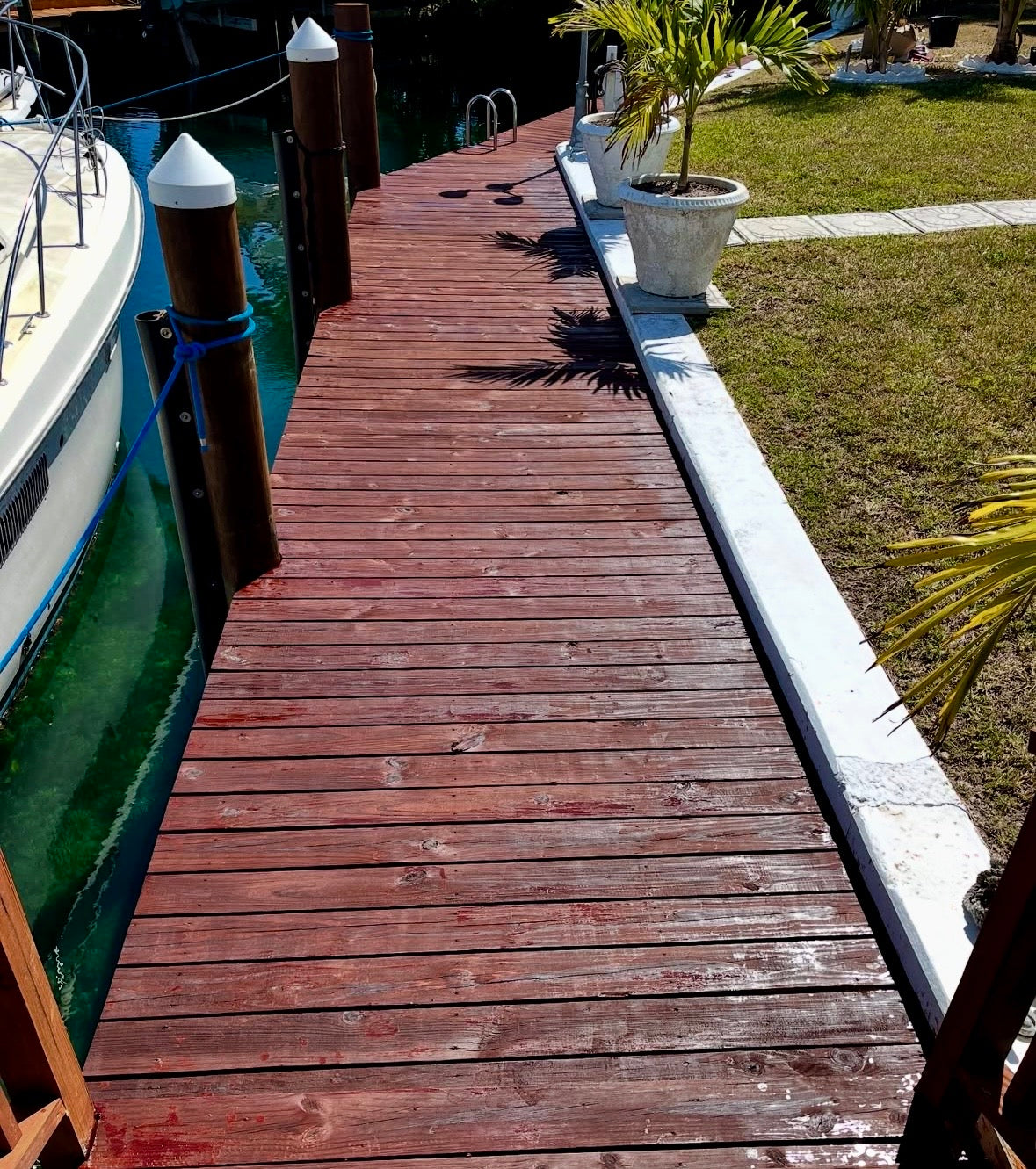 Dock Staining (Color Restoration)