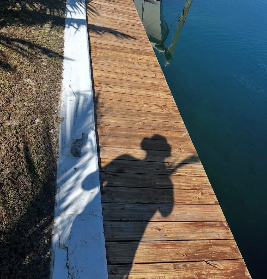 Dock Staining (Color Restoration)