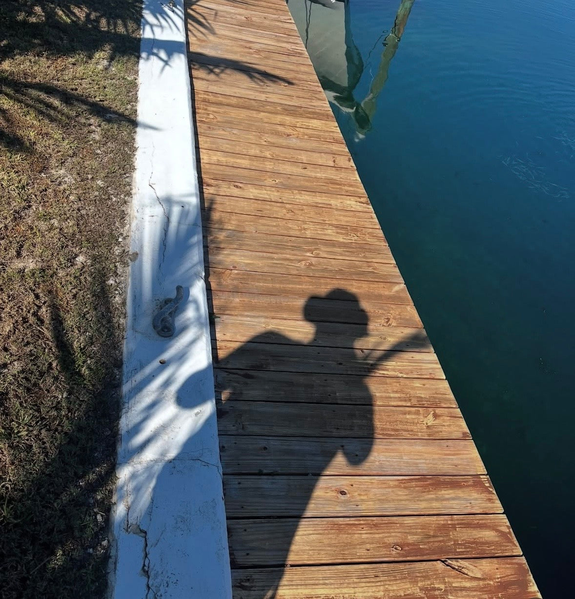 Dock Staining (Color Restoration)