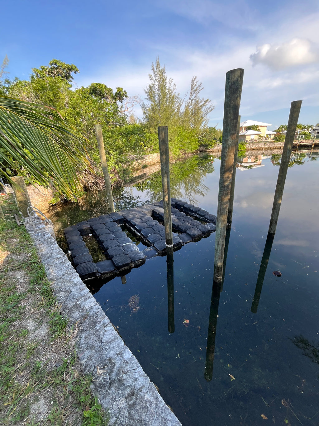 New Dock Build
