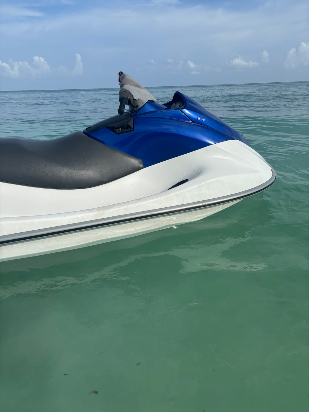 Yamaha VX Deluxe
