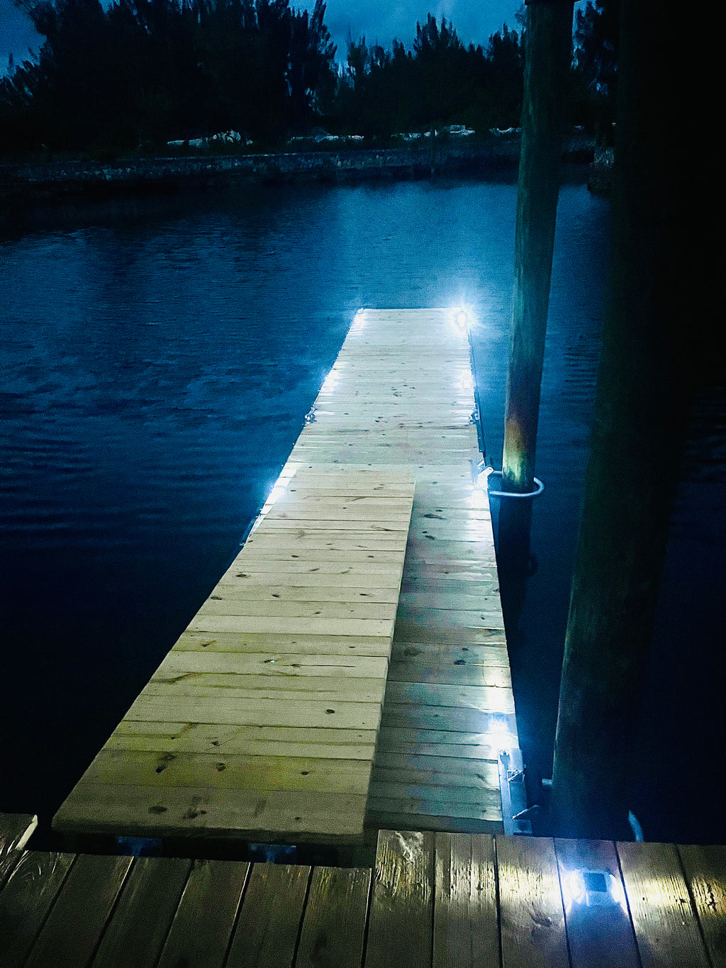 Dock Repairs