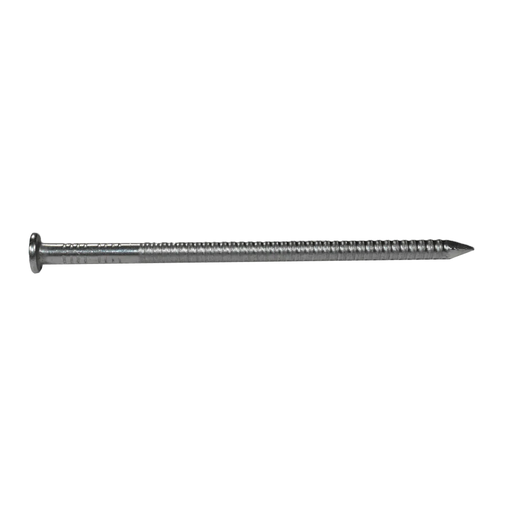 S.S Ring Shank Nails 12d