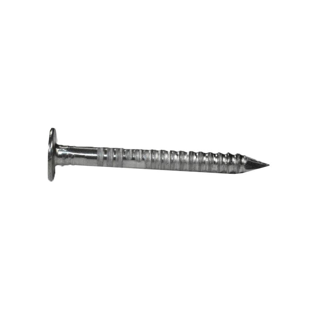 S.S Ring Shank Nails 4d